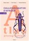 Atlas des Callichromatini d’Afrique Vol. 2
