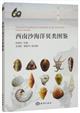 Illustrated Handbook of Seashells in the Xisha and Nansha Islands | 西南沙海洋贝类图鉴