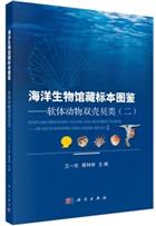 Specimen Collection of Marine Biology - Mollusks Bivalves (II) | 海洋生物馆藏标本图鉴 - 软体动物双壳贝类(二)