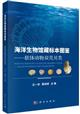  Specimen Collection Marine Biology - Mollusks Bivalves | 海洋生物馆藏标本图鉴 - 软体动物双壳贝类Specimen Collection of Marine Biology-Mollusks Bivalves
