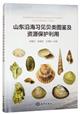  Illustrated of Common Mollusks in the Shandong Coast and Conservation and Utilization of Resources | 山东沿海习见贝类图鉴及资源保护利用