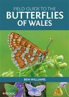 Field Guide to the Butterflies of Wales