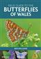 Field Guide to the Butterflies of Wales