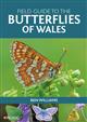 Field Guide to the Butterflies of Wales