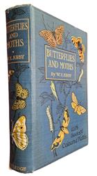 Butterflies & Moths of the United Kingdom