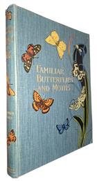 Familiar Butterflies and Moths