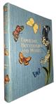 Familiar Butterflies and Moths