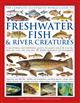 The Complete Illustrated World Guide to Freshwater Fish and River Creatures: A natural history and identification guide to the aquatic animal life of ponds, lakes and rivers, with more than 700 detailed illustrations and photographs