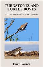 Turnstones and Turtle Doves: Nature-Watching in an Essex Parish