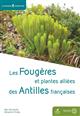 Les Fougères et plantes alliés des Antilles françaises