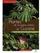 Guide expert de Plantes de la plaine côtière de Guyane: Savanes, bords de mer, marais et lisières forestières