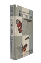 Transformations of Butterflies and Moths