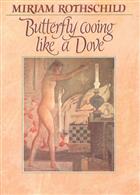 Butterfly cooing like a Dove