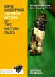 Bird-Dropping Tortrix Moths of the British Isles: A Field Guide to the Bird-dropping Mimics