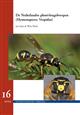 De Nederlandse Plooivleugelwespen (Hymenoptera: Vespidae)