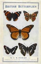 British Butterflies