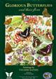 Glorious Butterflies and their Flora