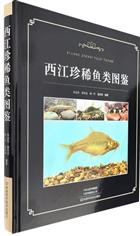 Atlas of Rare Fishes in Xijiang | 西江珍稀鱼类图鉴(精)