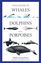 Field Guide to Whales, Dolphins and Porpoises of North America