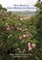 Wild Roses of Great Britain and Ireland