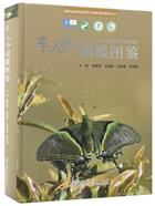   Illustrated Guide of Butterflies in Chebaling | 车八岭蝴蝶图鉴(精)/国家级自然保护区生物多样性保护丛书Illustrated Guide of Butterflies in Chebaling | 车八岭蝴蝶图鉴(精)/国家级自然保护区生物多样性保护丛书Illustrated Guide of Butterflies in Chebaling
