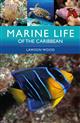Marine Life of the Caribbean