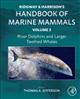River Dolphins and Larger Toothed Whales: Ridgway and Harrison's Handbook of Marine Mammals, Vol. 3
