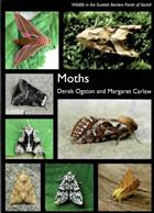 Moths (Wildlife in the Scottish Borders Parish of Stichill)