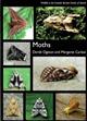 Moths (Wildlife in the Scottish Borders Parish of Stichill)