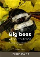 Big bees of South Africa: A photographic identification guide to species