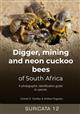 Digger, mining and neon cuckoo bees of South Africa: A photographic identification guide to species