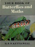 Your Book of Butterflies and Moths