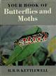 Your Book of Butterflies and Moths