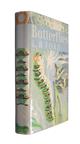 Butterflies (New Naturalist 1)