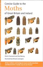 Concise Guide to the Moths of Great Britain and Ireland