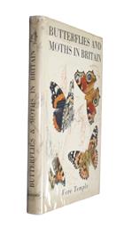 Butterflies and Moths in Britain
