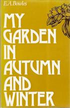 My Garden in Autumn and Winter