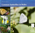 Common Butterflies in Wales / Glöynnod byw cyffredin yng Nghymru