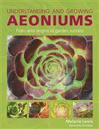 Understanding and Growing Aeoniums: From wild origins to garden success
