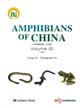    Amphibians of China Vol. II: 中国两栖动物（中卷）Amphibians of China Vol. II | 中国两栖动物（中卷）Amphibians of China V2Amphibians of China V2