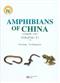    Amphibians of China Vol. I: | 中国两栖动物（上卷）