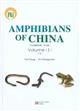    Amphibians of China Vol. I: | 中国两栖动物（上卷）