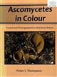 Ascomycetes in Colour Found and Photographed in Mainland Britain