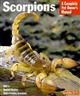 Scorpions