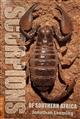 Scorpions of Southern Africa