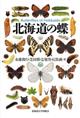 Butterflies of Hokkaido | 北海道の蝶