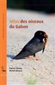 Atlas des Oiseaux du Gabon