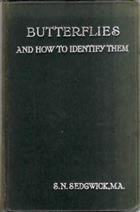 Butterflies and How to Identify Them