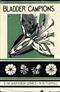 The Bladder Campions (Silene maritima and S. vulgaris)