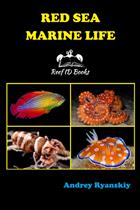 Red Sea Marine Life